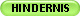 HINDERNIS